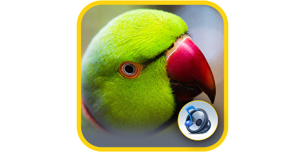 Animal sounds - Airhorn Sounds - Apps on Google Play