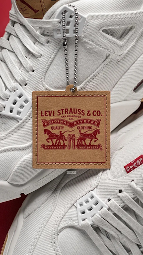 Air Jordan V screenshot