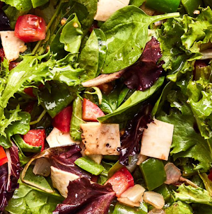 Salad Recipes Tips App