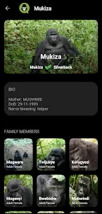 My Gorilla Family