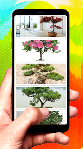 Android application Bonsai Design Ideas screenshort