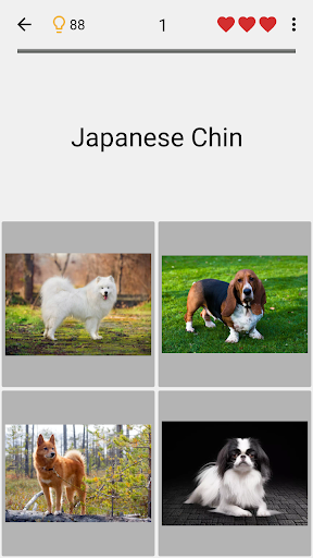Dogs Quiz - Guess Popular Dog Breeds in the Photos  Screenshots 4