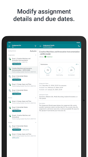 Screenshot of Canvas Teacher