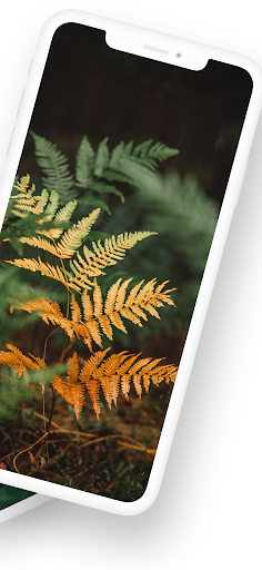 Theme for Oppo F21 Pro Screen 2