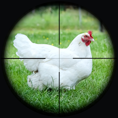 Chicken Shoot Sniper Hunting - Screenshot 1