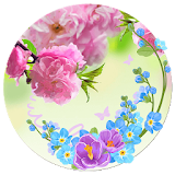 Spring Flowers Theme icon