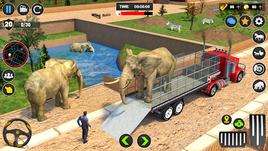 动物转运卡车游戏