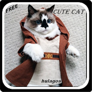 Top 40 Entertainment Apps Like Cute Cat Pose Gallery - Best Alternatives
