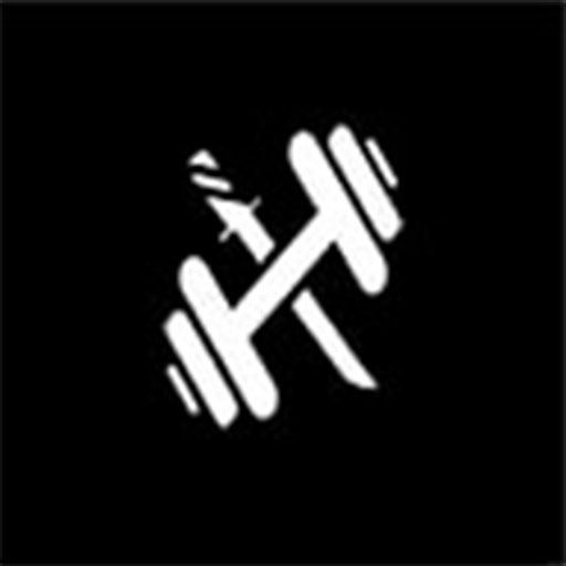 Samurai Training logo