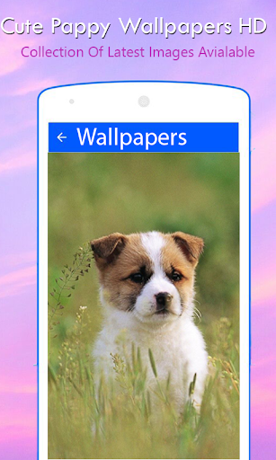 Cute Pappy Wallpapers Screen 2