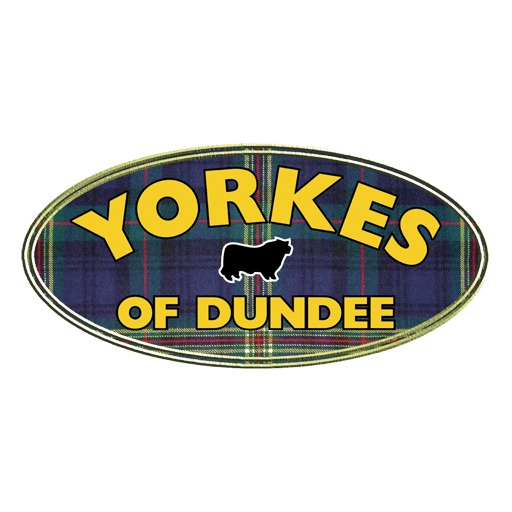 Yorkes of Dundee Wholesale logo