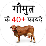 Cover Image of 下载 गौमुत्र के फायदे (benefit of C  APK