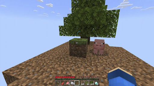 One Block Map for Minecraft Screenshot 4 - AppWisp.com
