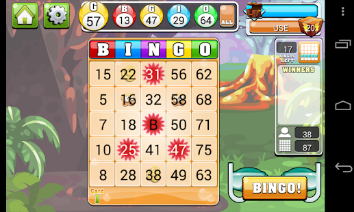 Bingo Casino - Free Vegas Casino Slot Bingo Game Screenshot