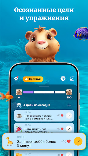 Предварительный просмотр приложения