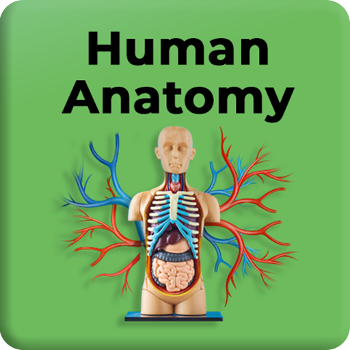 Human Anatomy and Physiology  Icon