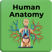 Top 40 Education Apps Like Human Anatomy and Physiology: Bones and Organs - Best Alternatives