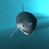 Shark Cage Dive 3D icon