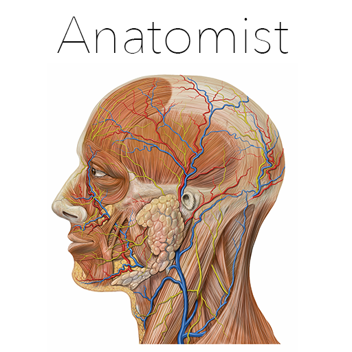 Baixar Anatomist - Anatomy Quiz Game