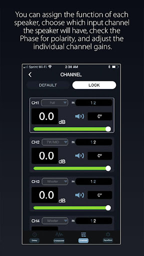 ZAPCO DSP-Z8IVII Screen 2