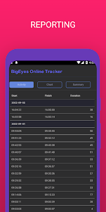 BigEyes Whats Online Tracker