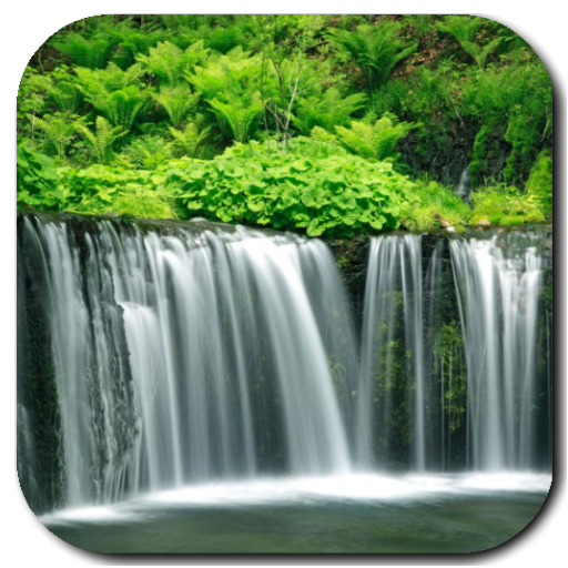 Waterfall Video Live Wallpaper logo