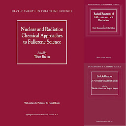 Obraz ikony: Developments in Fullerene Science