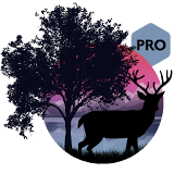 Amazing Land Pro icon