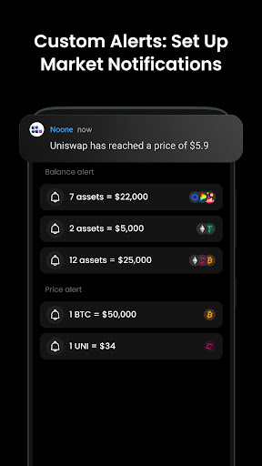 Noone Crypto Wallet 24