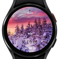 Nature Watch Face L80