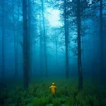 Cover Image of Tải xuống Dark Forest HD Wallpapers  APK