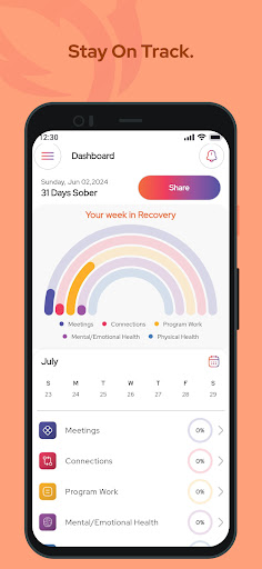 Vista previa de la aplicación