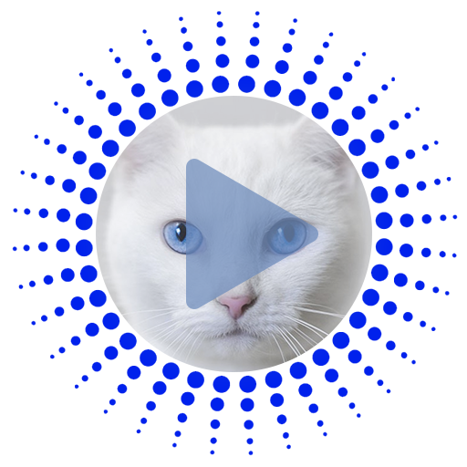 Cat Sounds and Ringtones  Icon