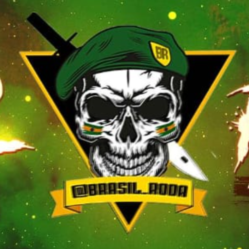 @brasil_roda logo