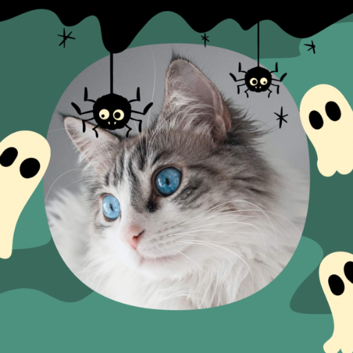 Halloween Photo Frame logo