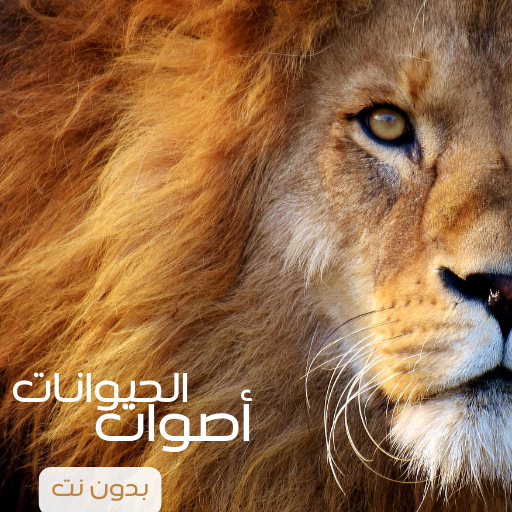 اصوات الحيوانات logo
