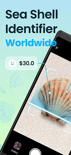 Seashell Identifier App screenshot 1