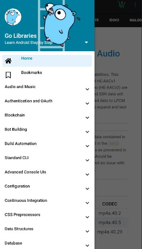 Android application Golang Libraries and Compiler screenshort