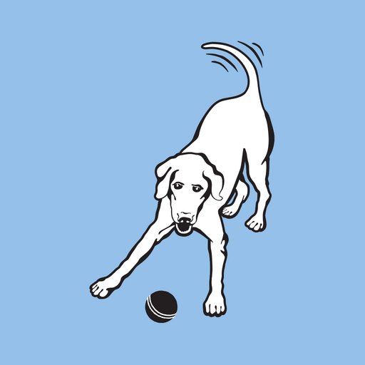 Donovans Dogs logo