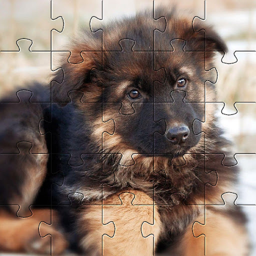 German Shepard Puzzles Games Screen 2