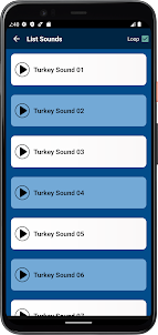 Turkey Sounds