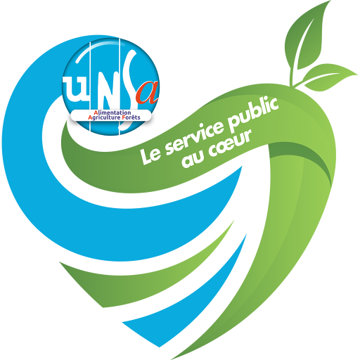 UNSA AAF logo