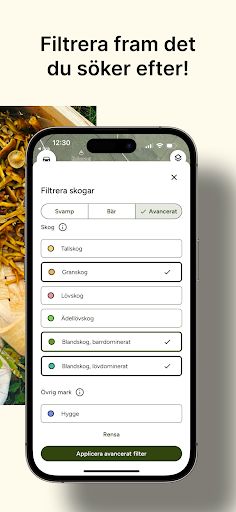 Hitta Skog Screen 2