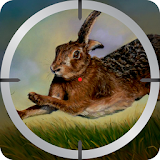 Animals Hunter - Sniper Game 2017 icon
