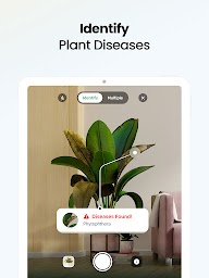 Plant App - Plant Identifier
