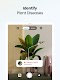 screenshot of Plant App - Plant Identifier