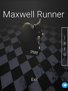 Maxwell Runner - maxwell cat