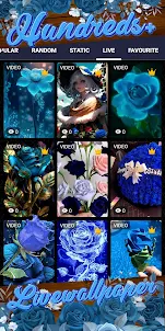 blue rose wallpaper