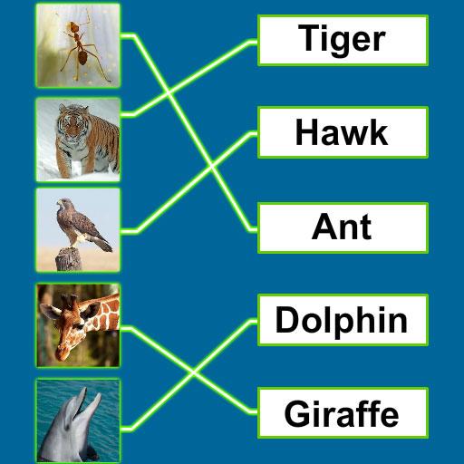 Spelling Match : Learn spellin Unduh di Windows