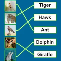 Spelling Match : Learn spellin